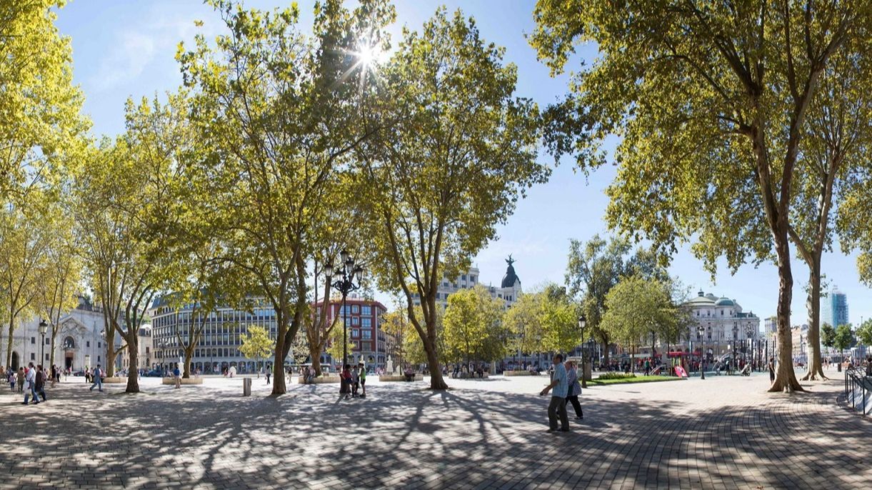 Los plátanos de El Arenal sobrevivieron a la construcción del aparcamiento subterráneo