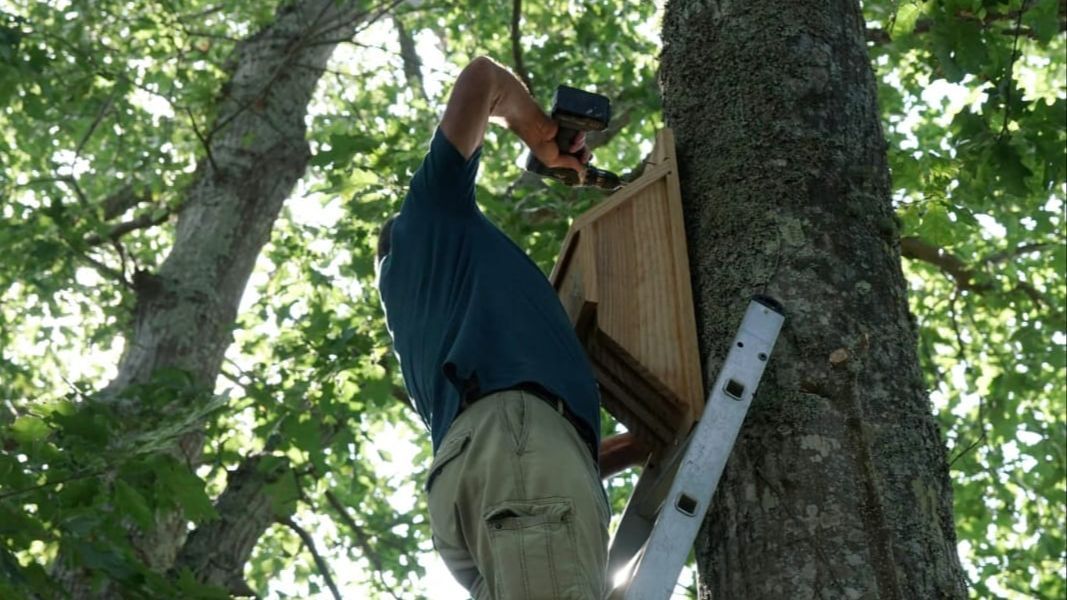 Refugio para murciélagos en Moaña, Pontevedra