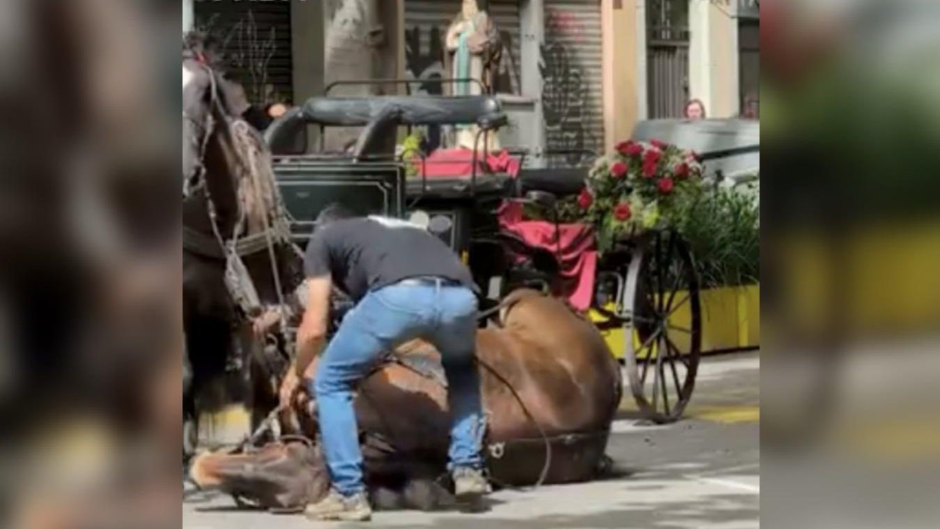 La muerte de uno de los caballos en Tres Tombs
