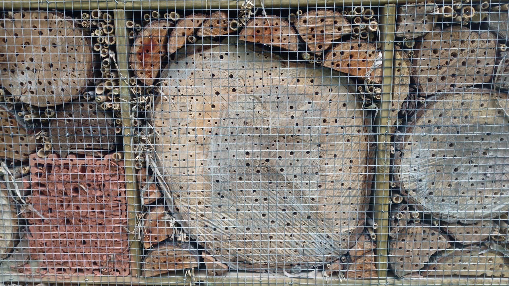 Las grietas y agujeros sirven a los insectos para ocultarse y reproducirse