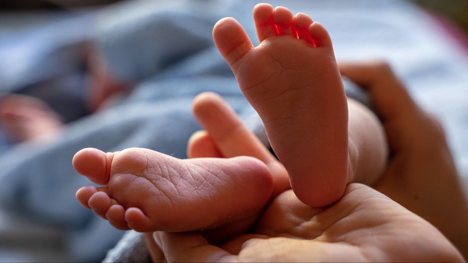 Los pies de un bebé Los pies de un bebé