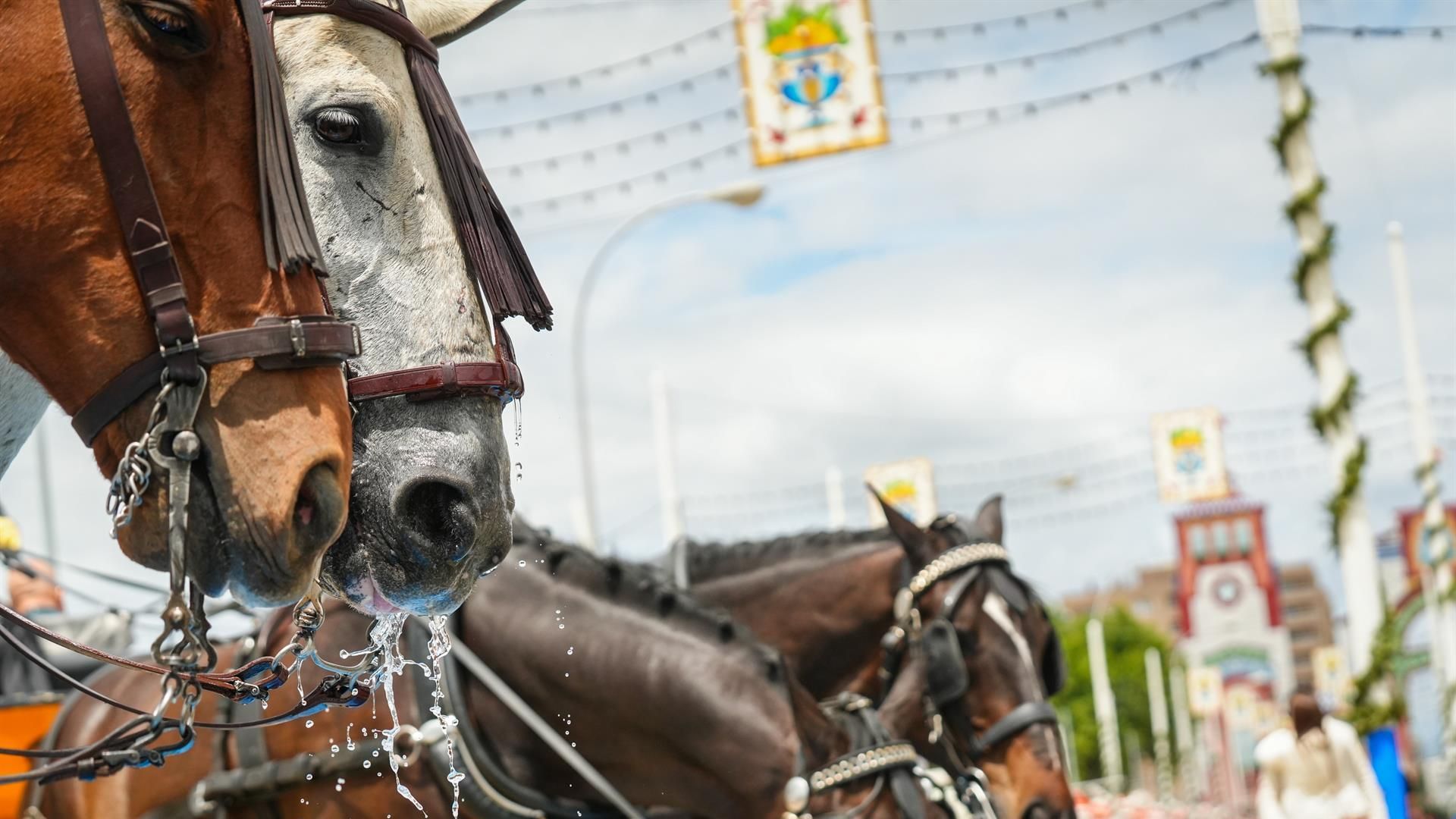 Feria de Sevilla 2025