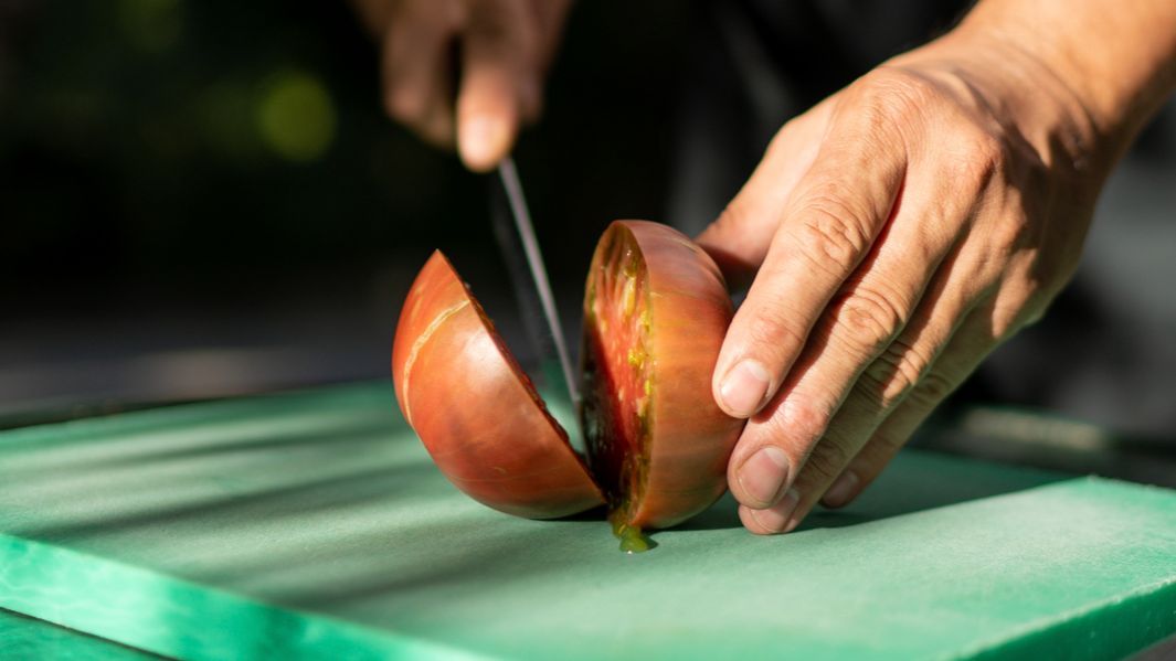 ¿Ha cambiado el sabor de los tomates?