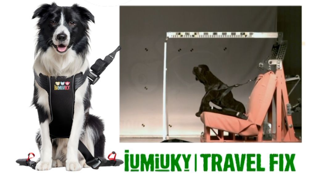 Arnés de coche para perros con Isofix y Top Tether de Iumiuky: tres puntos de anclaje para viajar seguro con mi perro