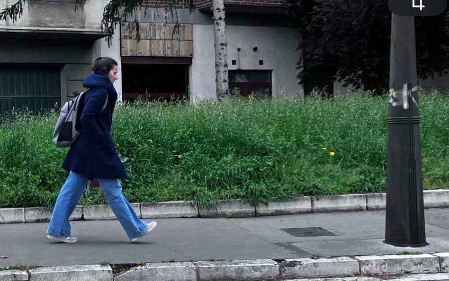 El césped crece desde hace casi dos meses sin control