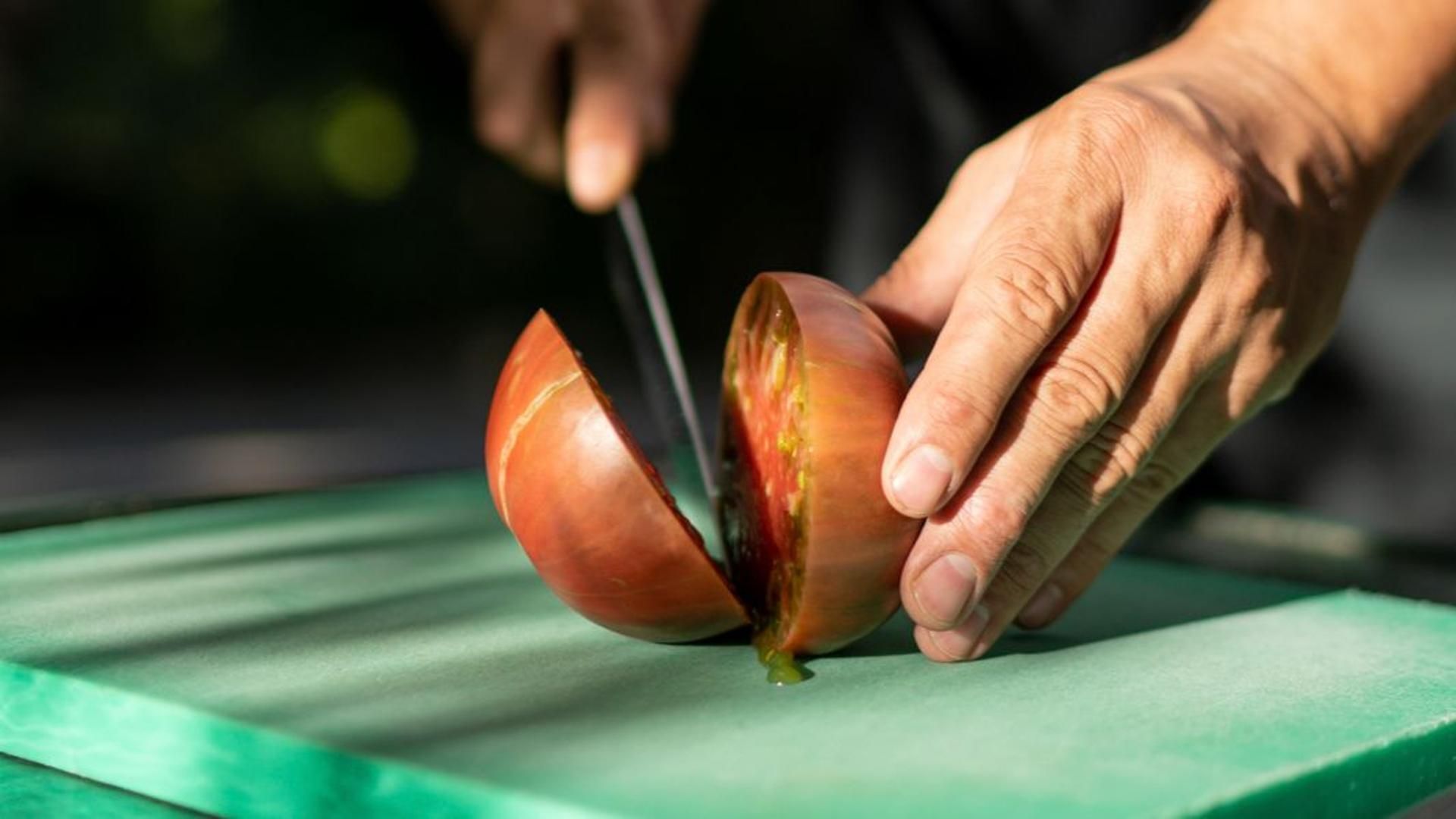 ¿Ha cambiado el sabor de los tomates?