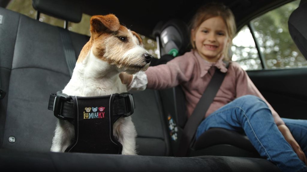 Perro con arnés de tres agarres en coche IUMIUKY