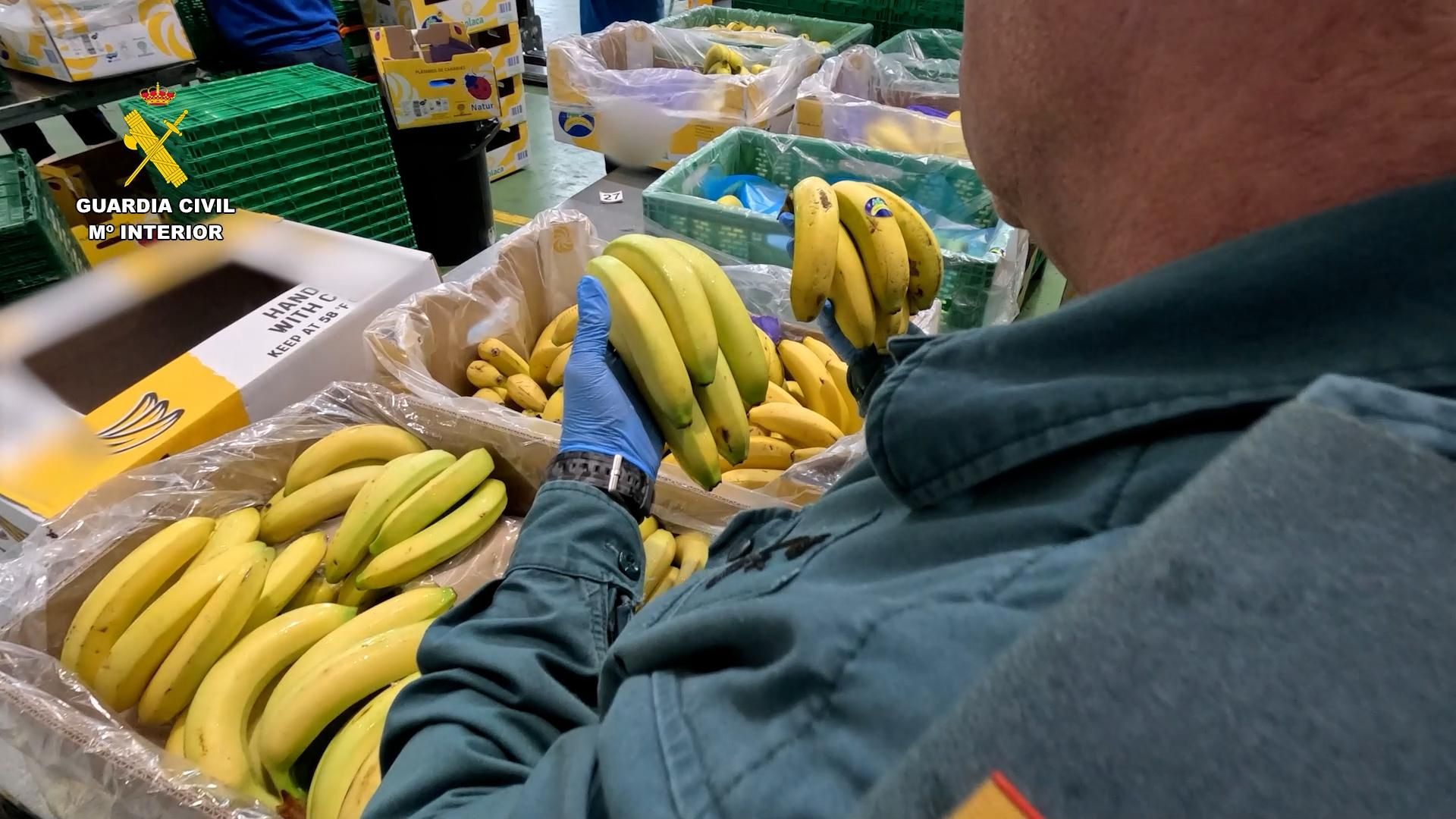 Un agente comprueba la procedencia de las bananas