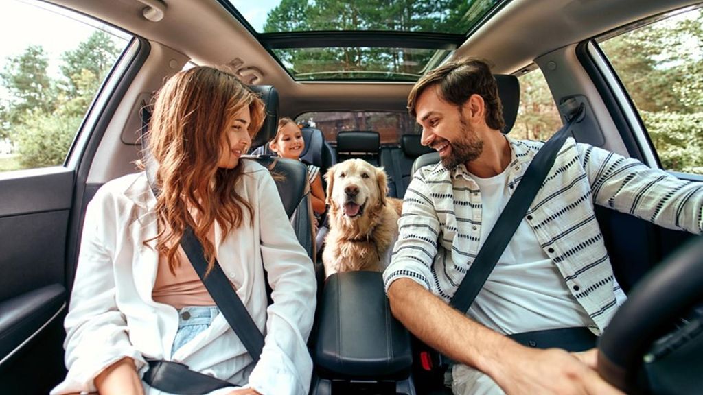VIAJAR COCHE PERROS