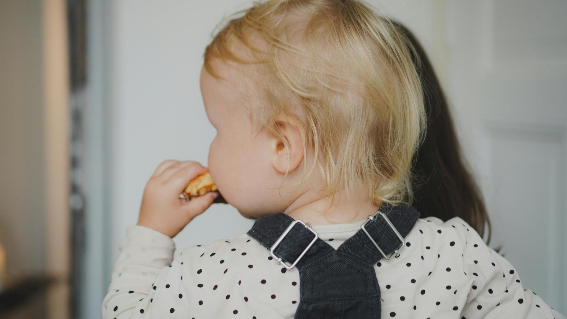 annika wischnewsky E6Z3Q G7HxI unsplash