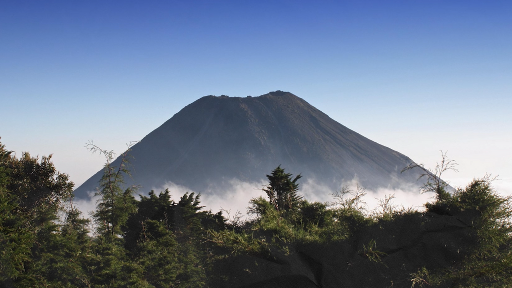Volcanes que sirvieron para estudiar la humanidad Tiempo de Flora 269