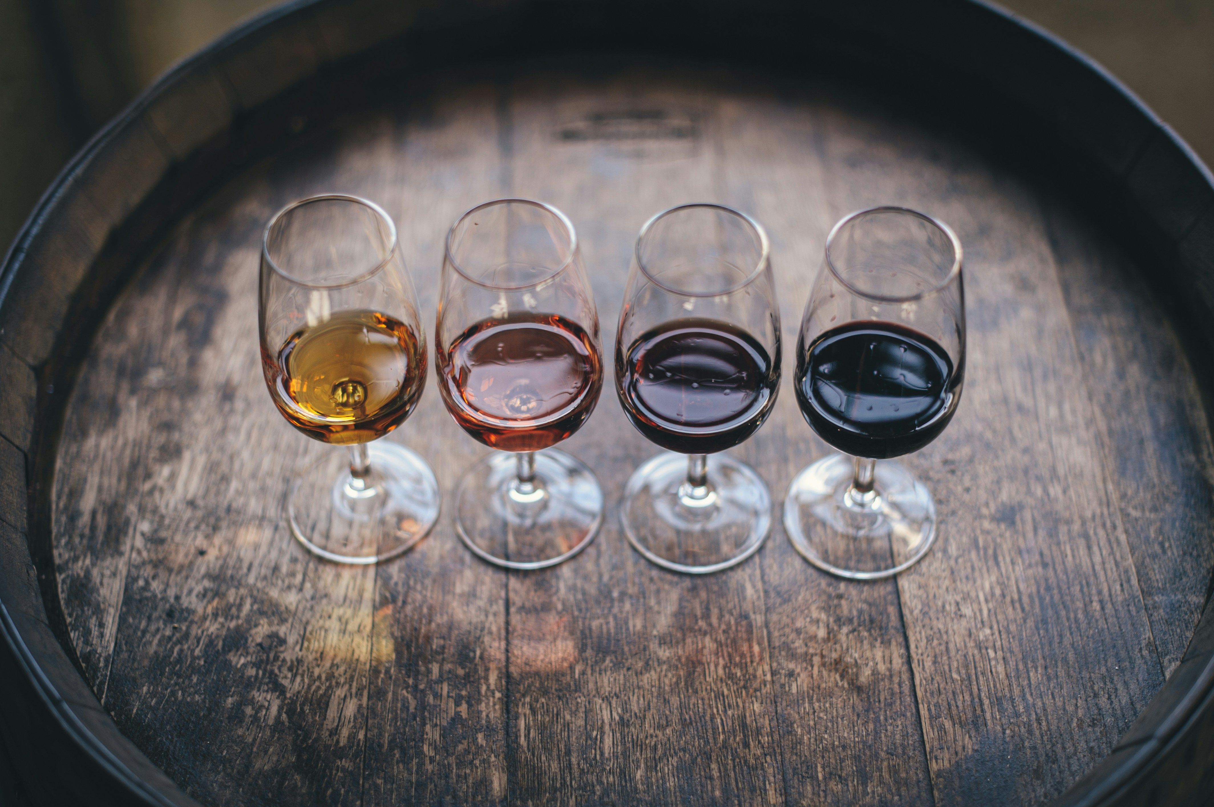 cata vino unsplash