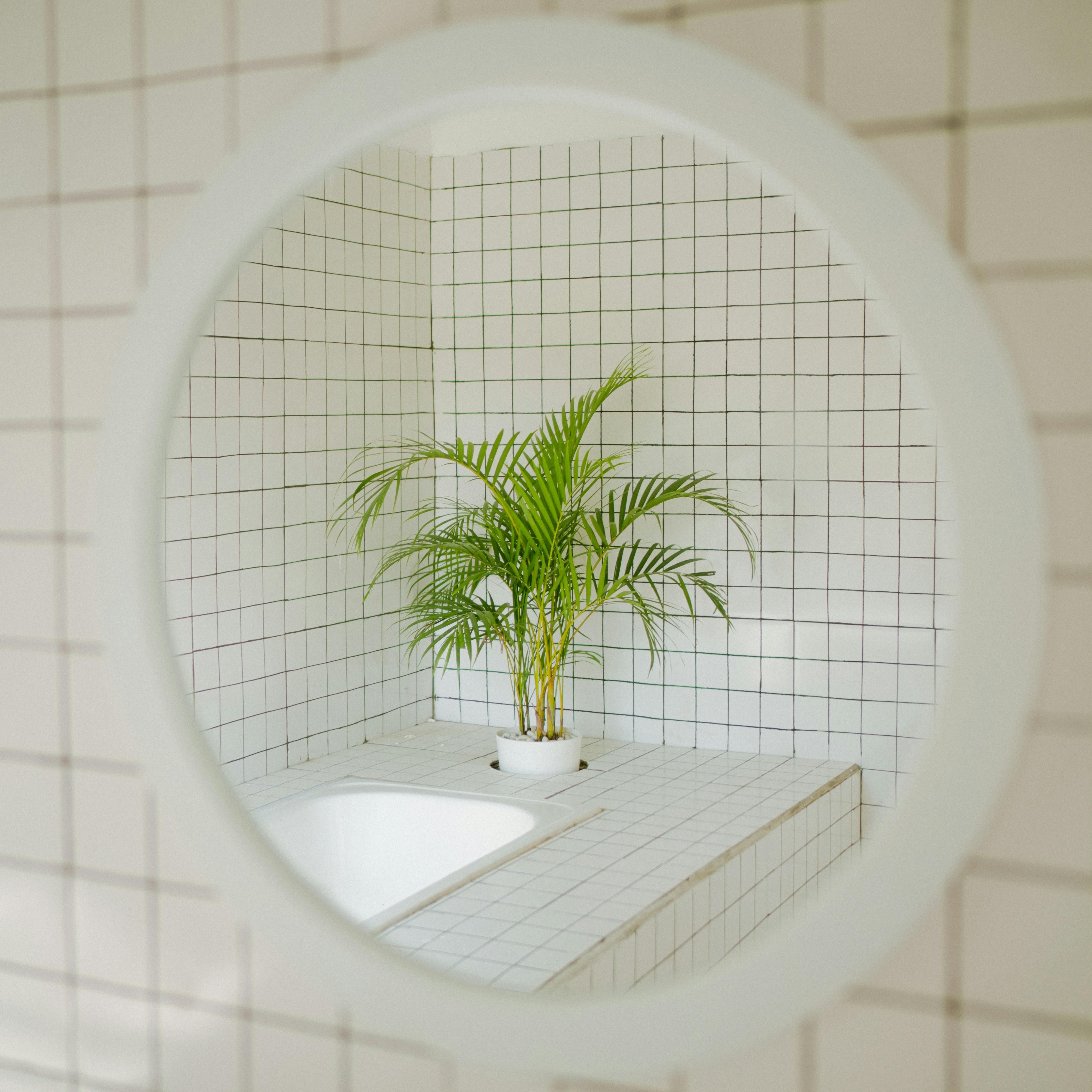 Los espejos hacen que el baño parezca más amplio. FUENTE: Pexels