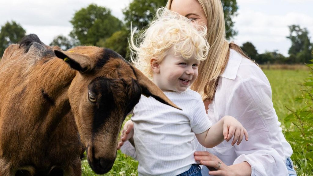 Leche de cabra para bebés con digestiones difíciles: la alternativa natural que cada vez eligen más familias