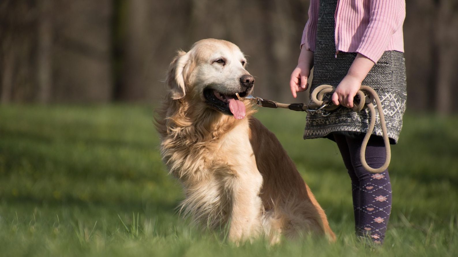 Una mujer paseando a un perro