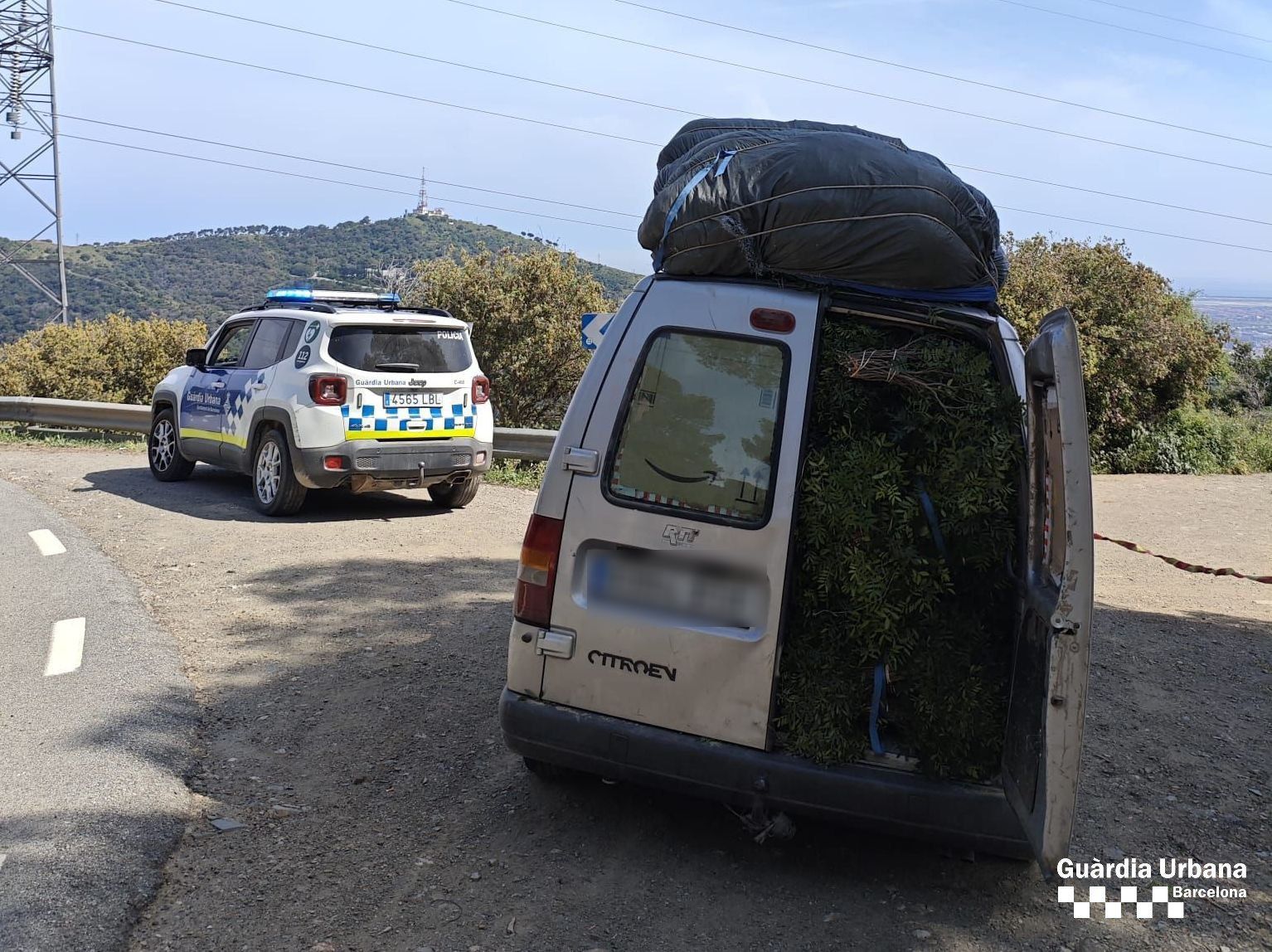 Interceptados con 600 kilos de lentisco en Barcelona