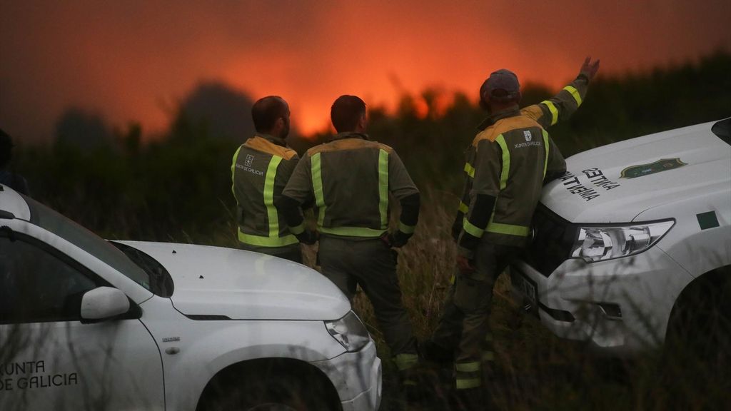 Récord de destrucción de bosques en 2024: se registra el peor año de incendios en zonas tropicales