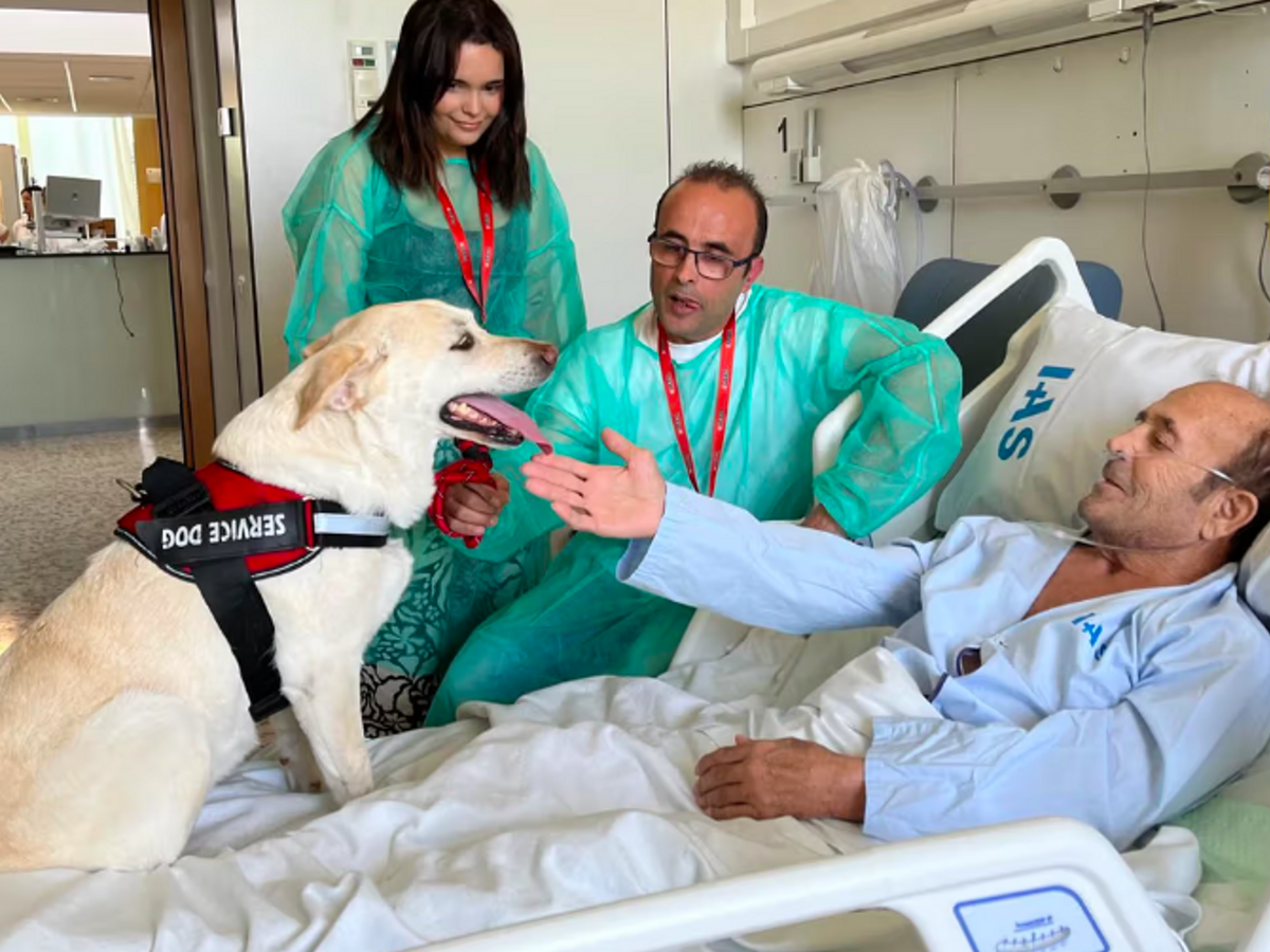 Un hospital permite a pacientes en final de vida recibir visitas de sus perros