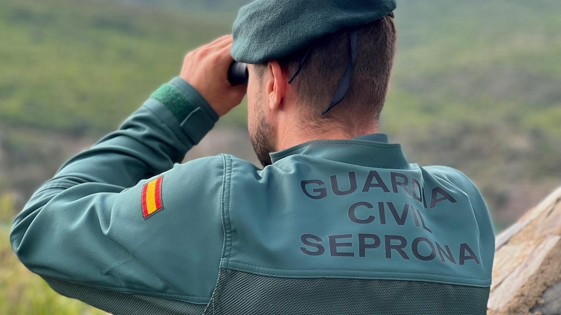 Un agente del Seprona