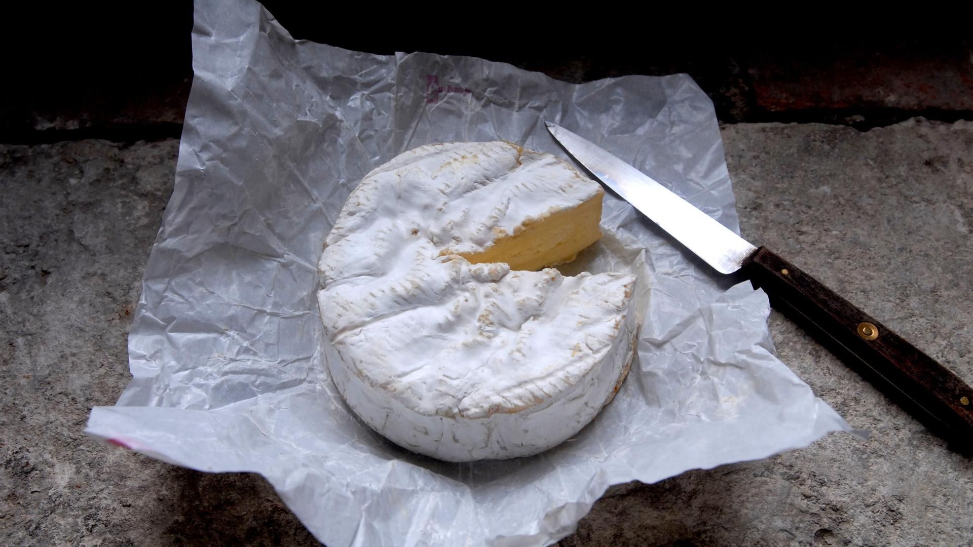 Queso camembert