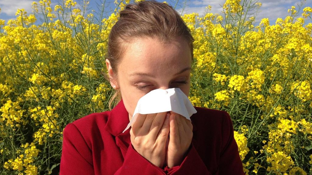 Una persona con alergia al polen