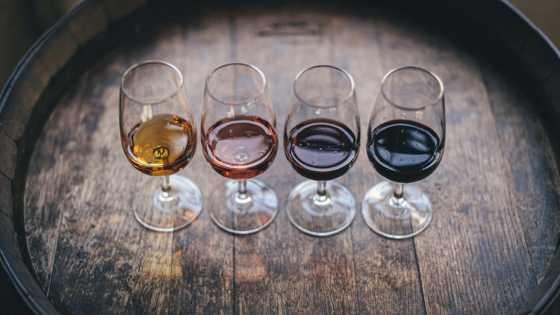 cata vino unsplash