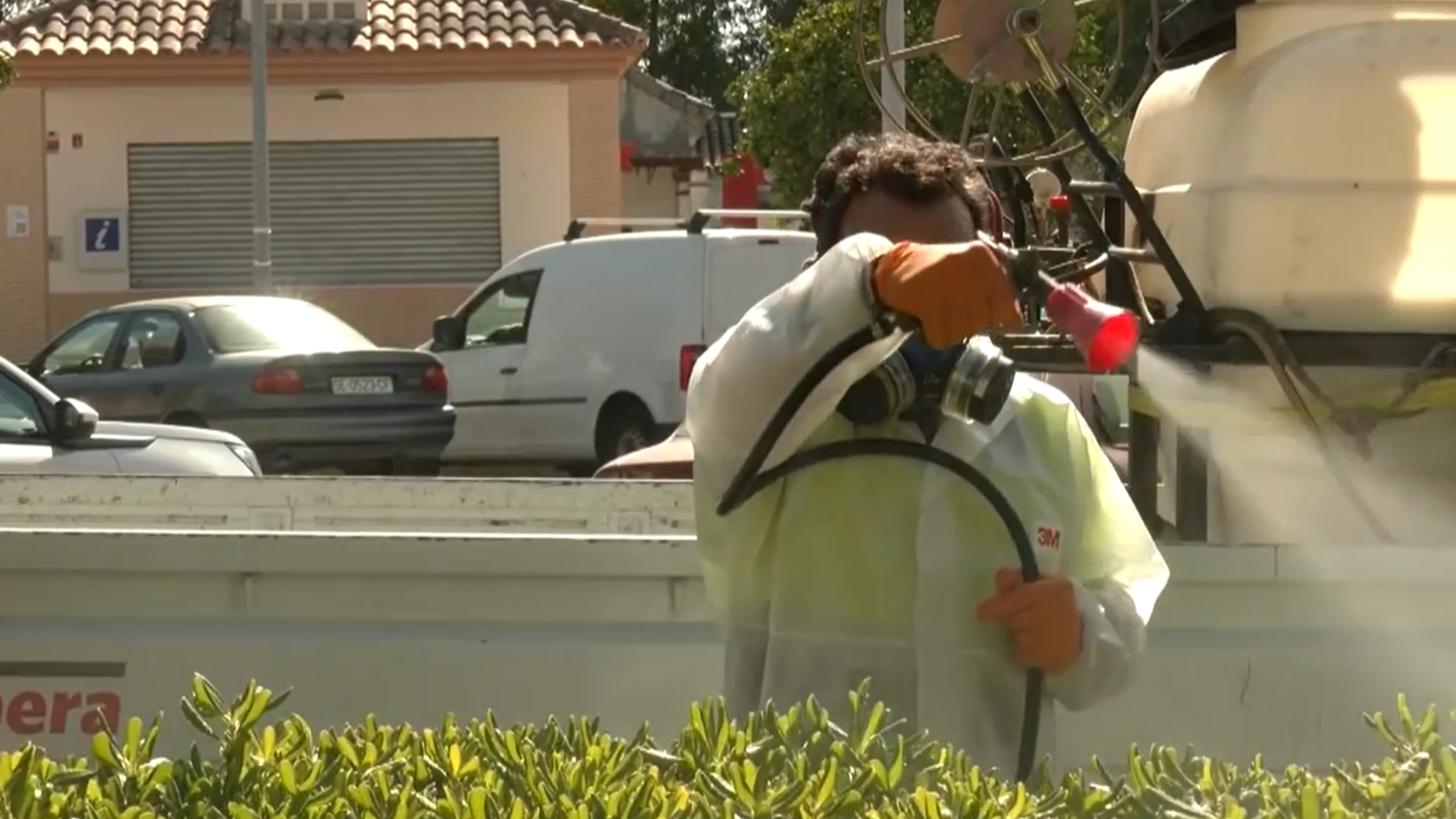 Los virus tropicales llegan a España: el calor y la movilidad de poblaciones está facilitando su propagación