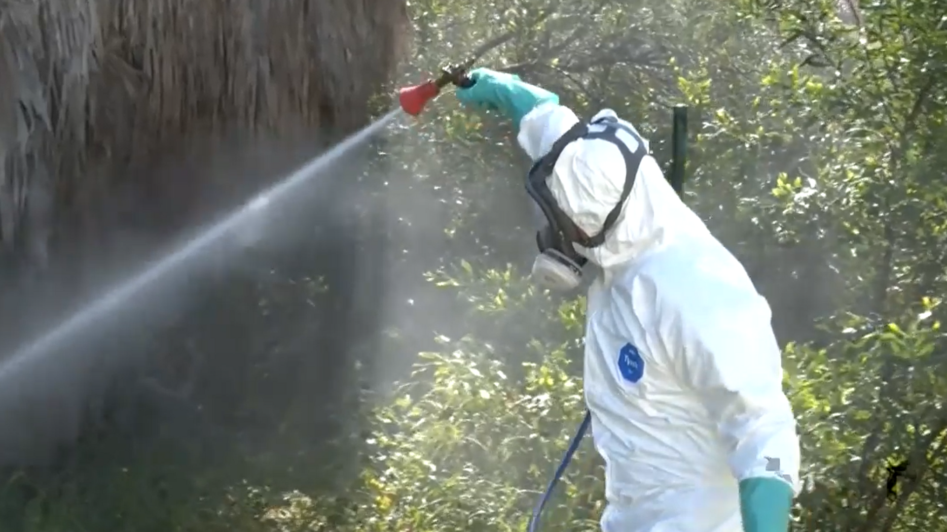 Los virus tropicales llegan a España: el calor y la movilidad de poblaciones está facilitando su propagación