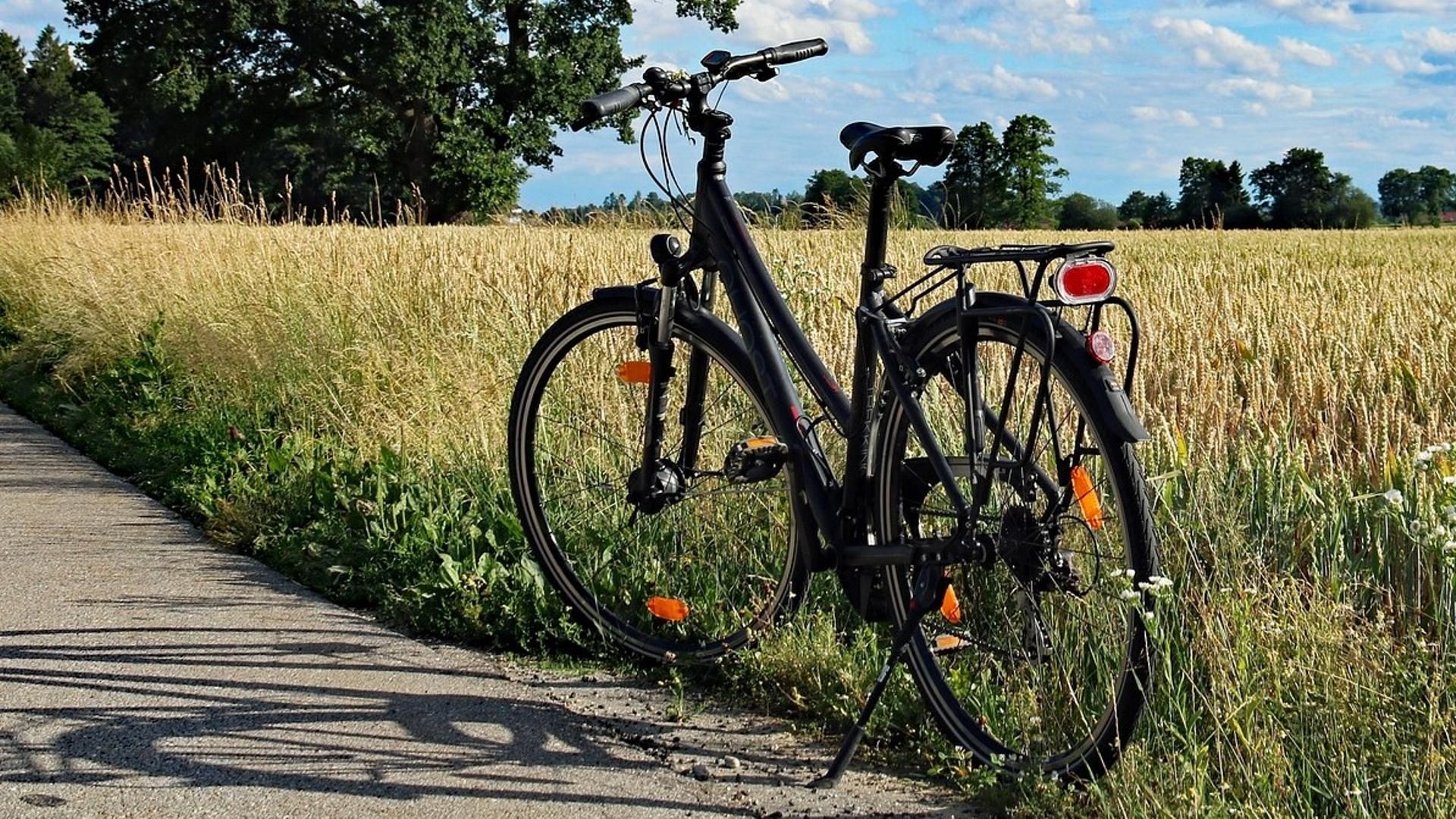 Bicicleta aparcada junto a un camino rural