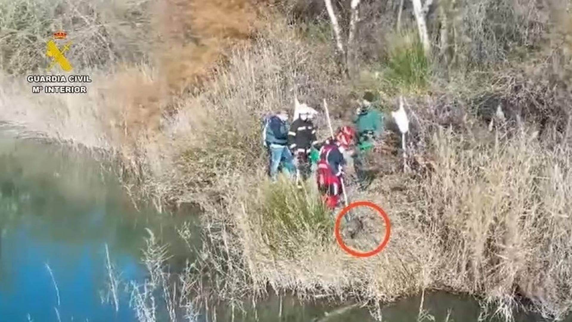 Rescate de un perro ahogado en un caso de maltrato animal