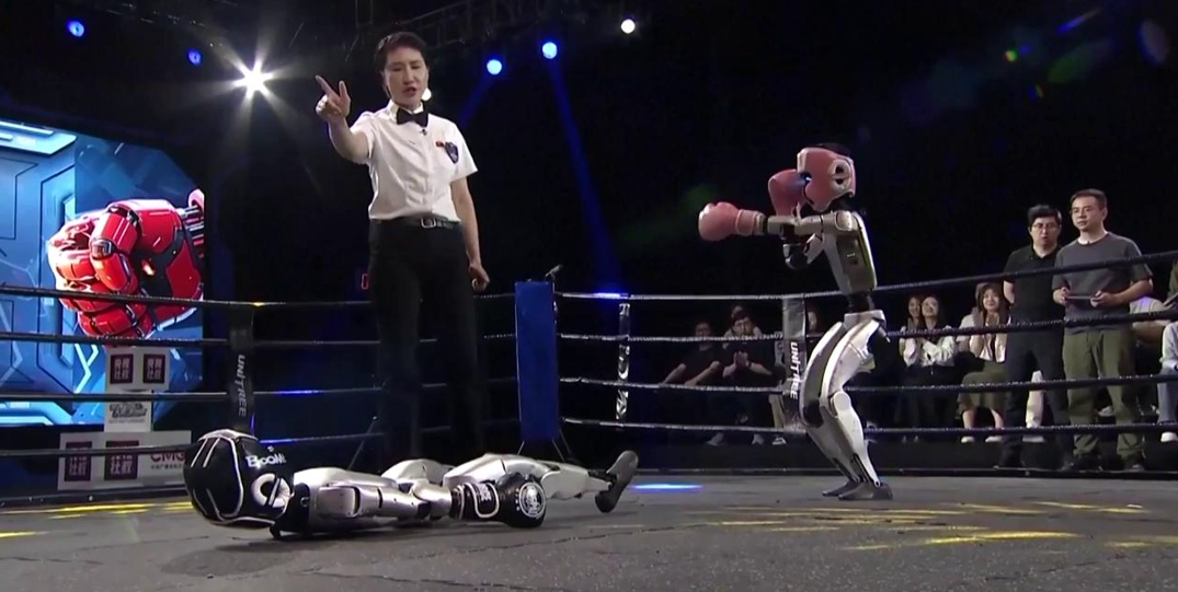 combate de Kick Boxing entre robots