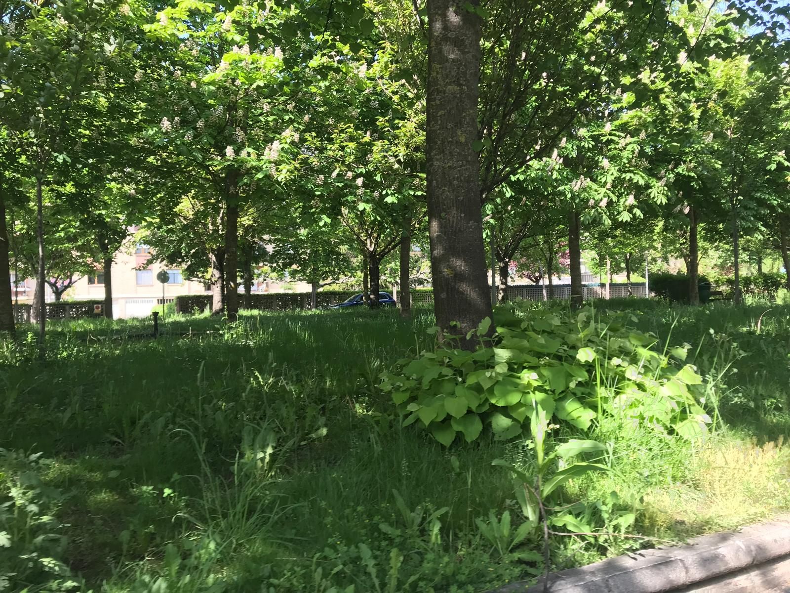 El 26 de marzo los trabajadores arrancaron una huelga indefinida que cumple hoy dos meses