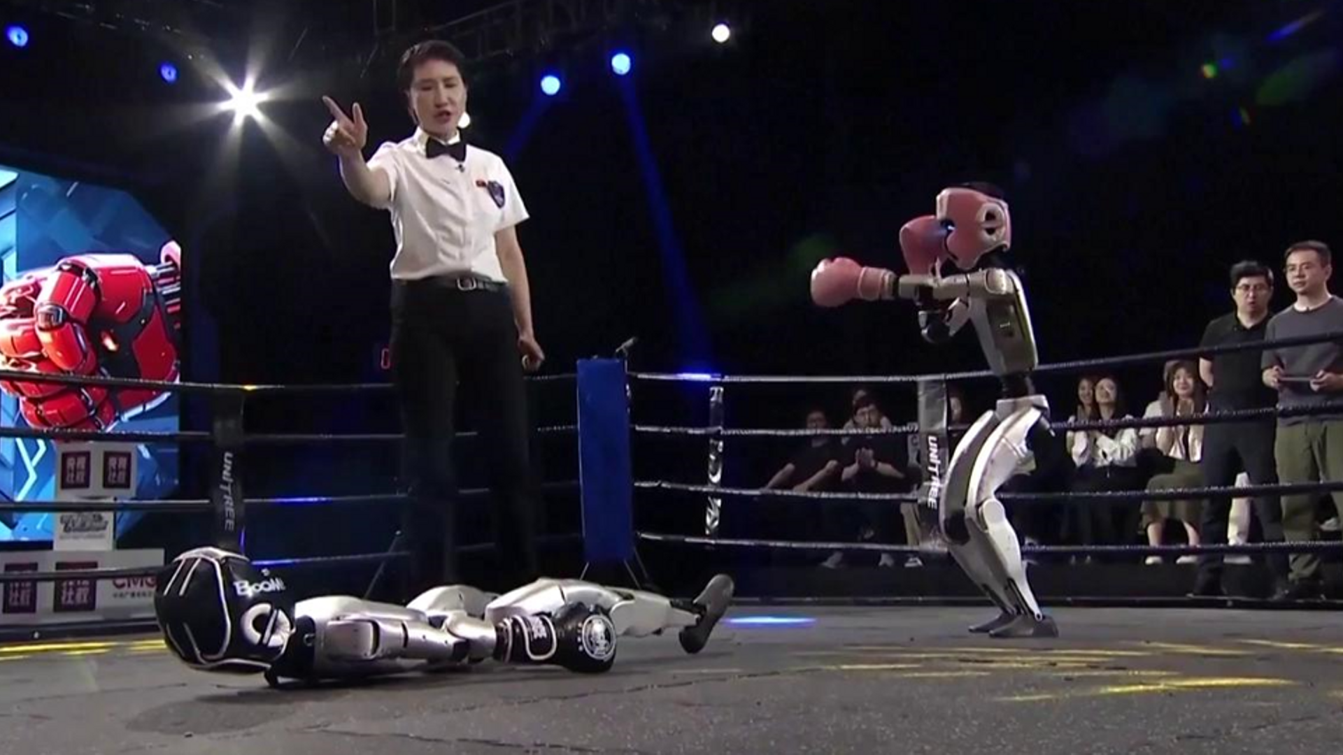 El primer combate de Kick Boxing entre robots: cualquier movimiento está permitido en el ring