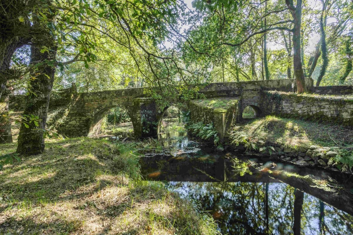 El río Magdalena
