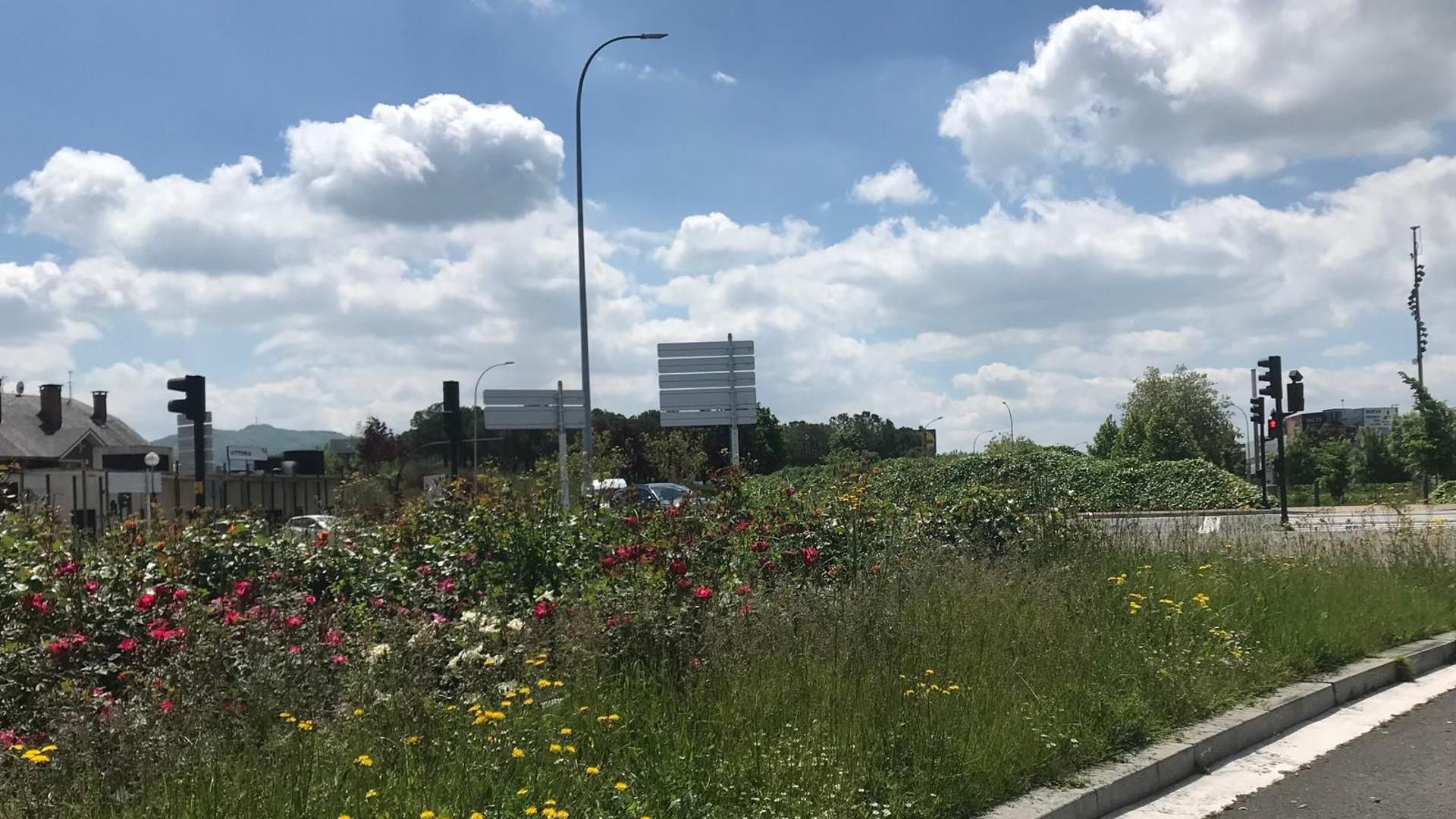 En algunos puntos, la vegetación empieza a dificultar la visibilidad como en esta rotonda