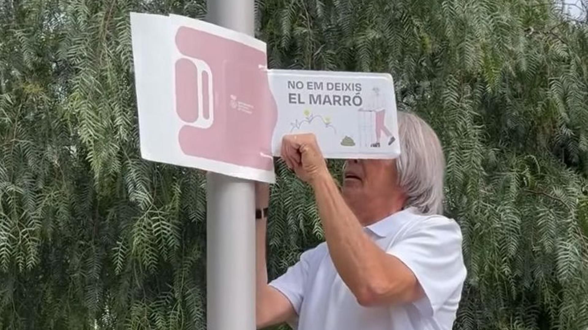 Farolas con banderolas sobre la recogida de excrementos caninos en Sant Feliu