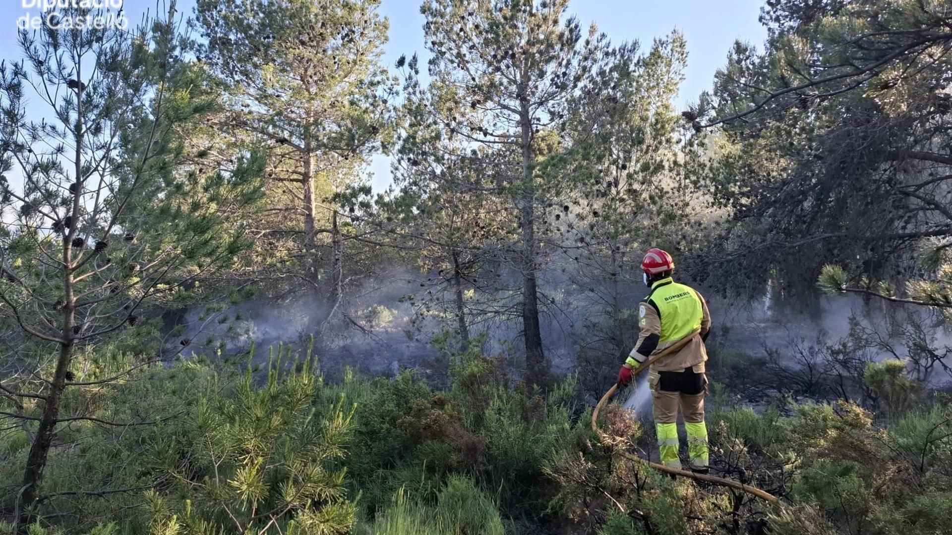 Incendio forestal