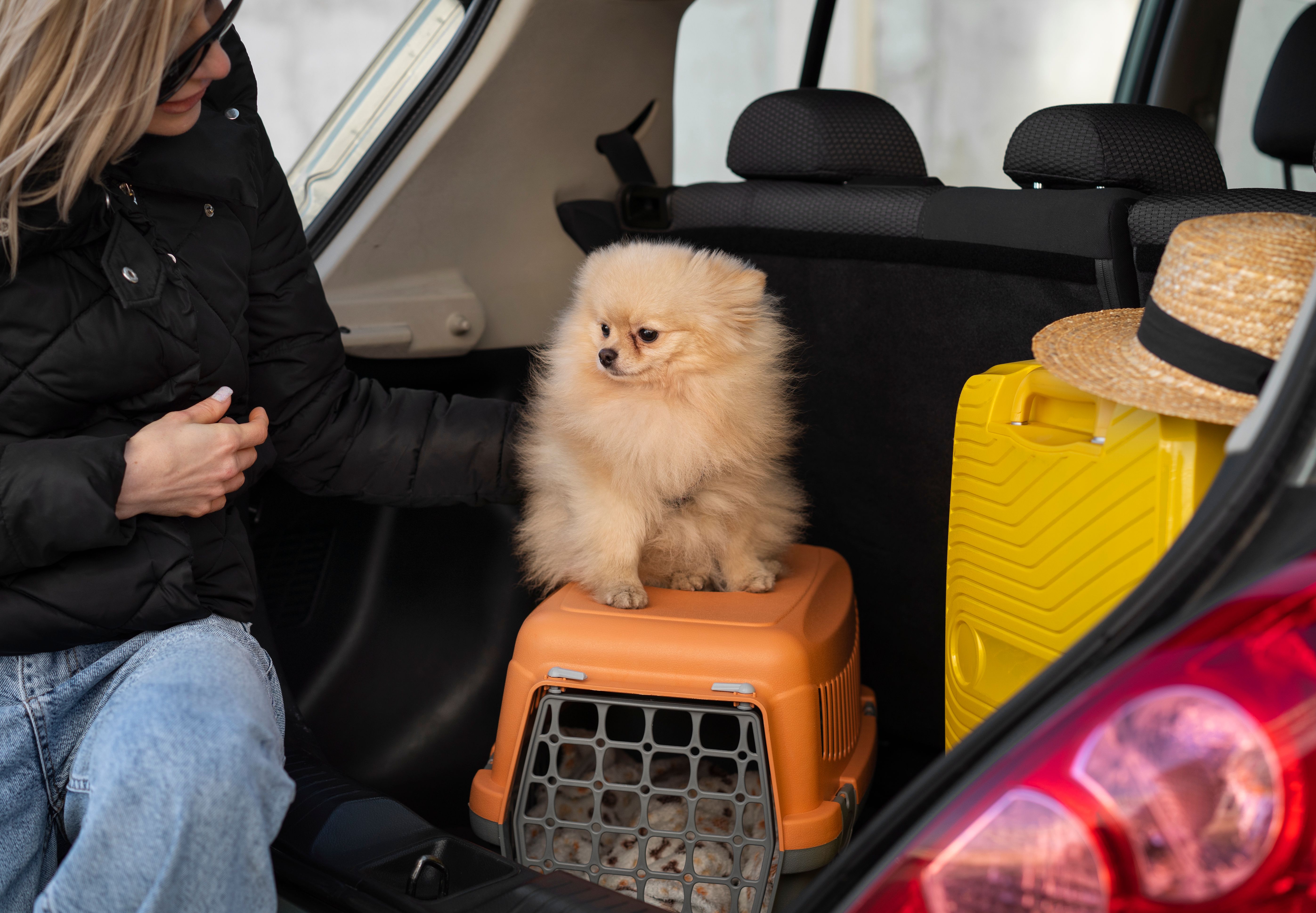 viajar con mascotas