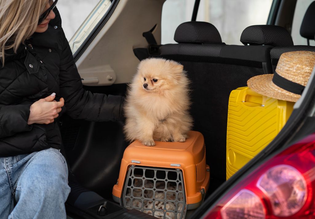 viajar con mascotas