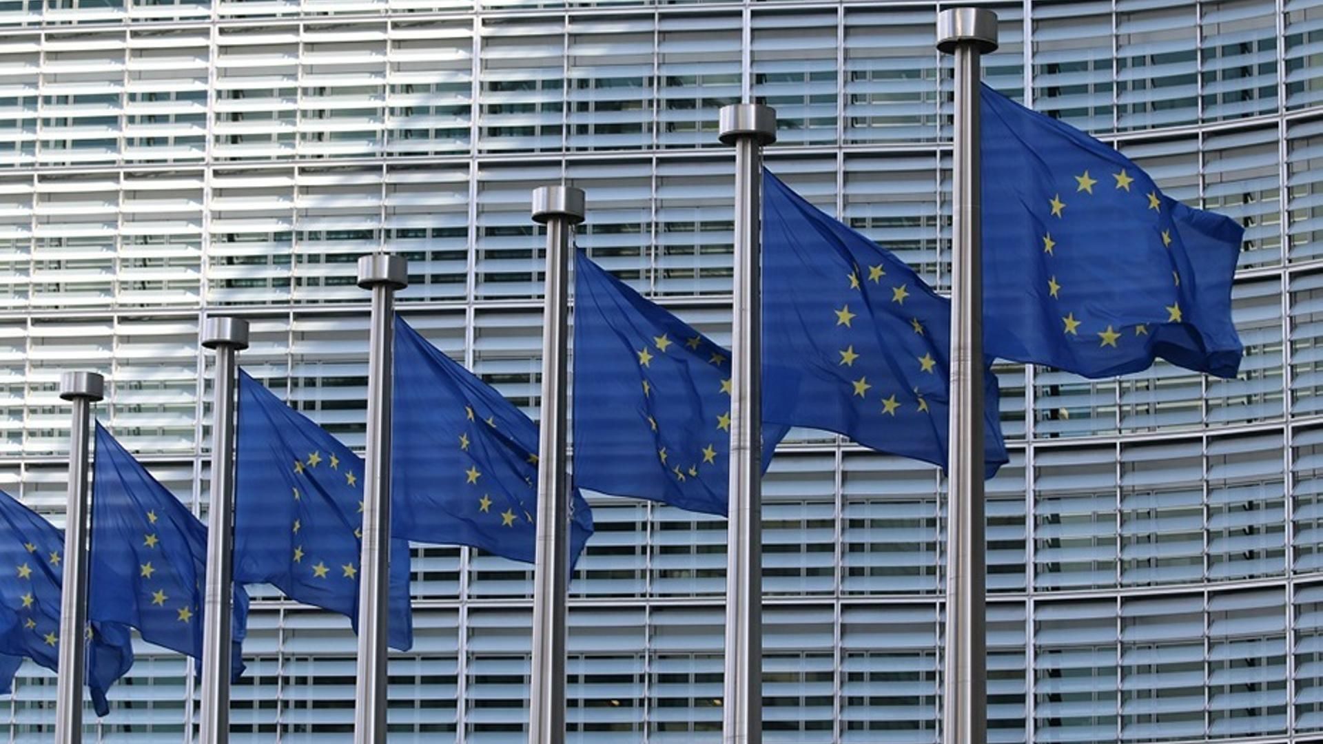 El Gobierno seguirá adelante con las lenguas cooficiales tras aplazar la UE su votación El Gobierno seguirá adelante con las lenguas cooficiales tras aplazar la UE su votación
