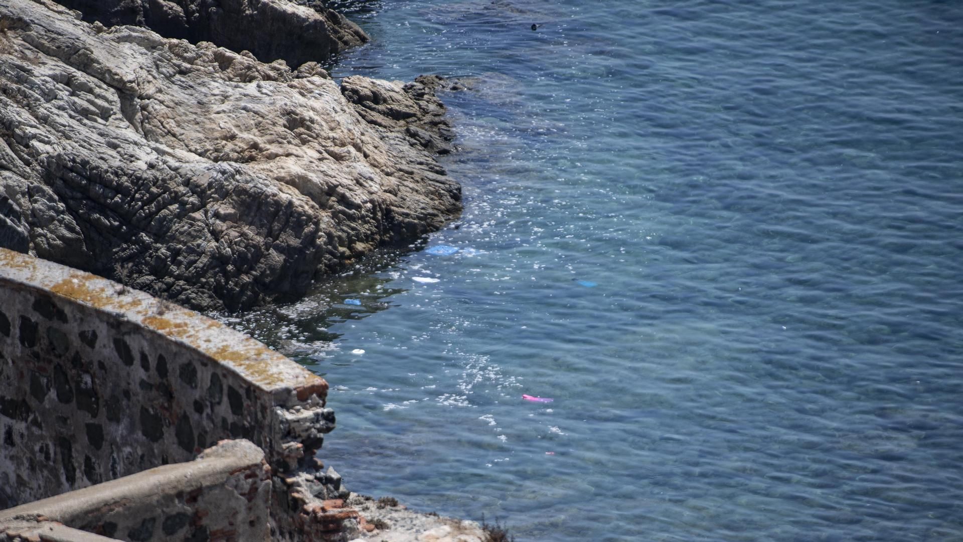Hallan un delfín muerto con la cola cortada en las inmediaciones del litoral de Ceuta