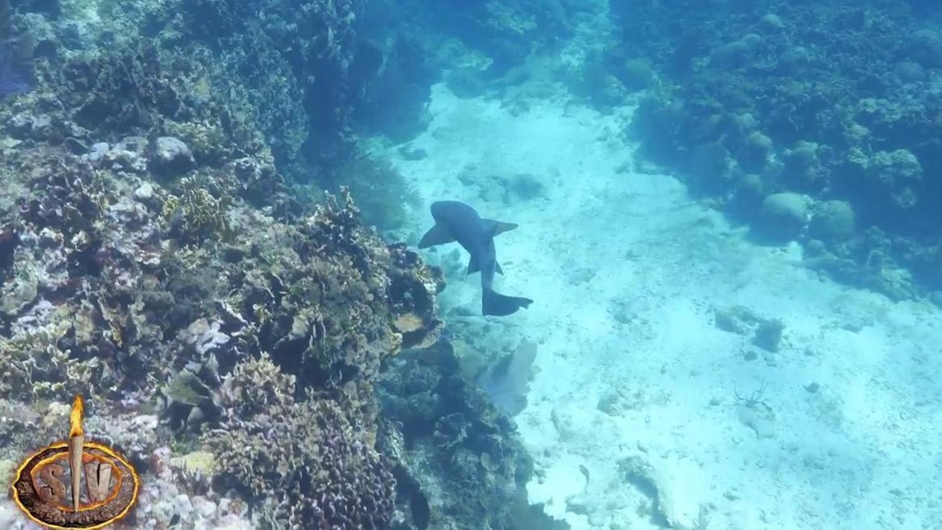 2025 05 28 2013 REC Telecinco REC.ts.0x0.157361688188100