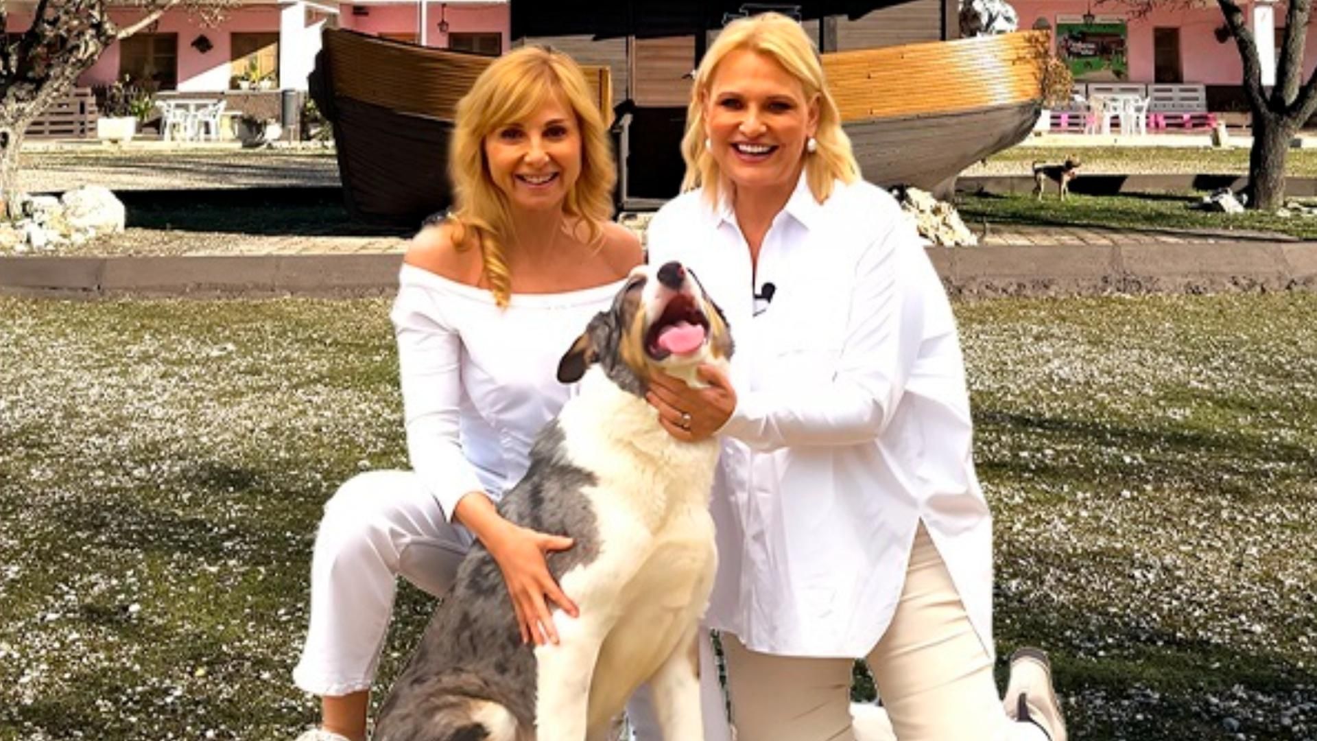 Ainhoa Arteta y Alejandra Botto, con los perros de la Fundación Arca de Noe