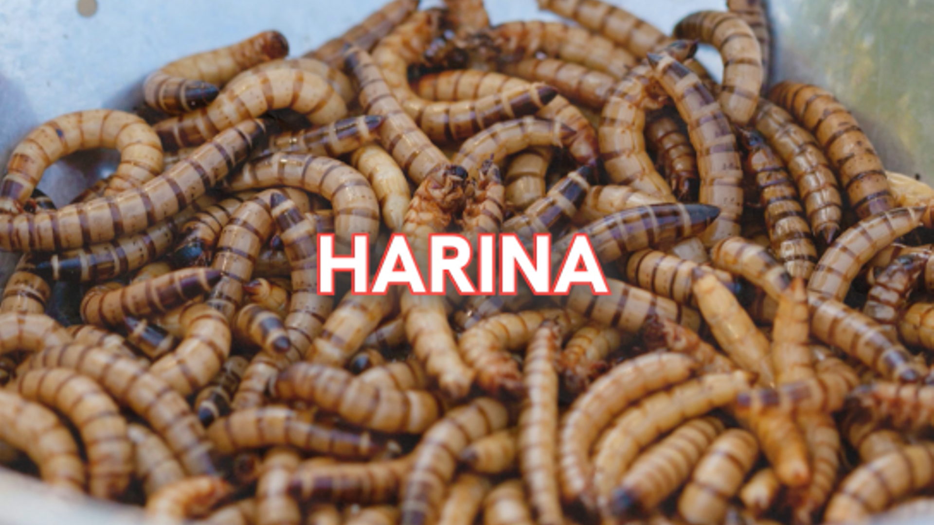 Captura de pantalla 2025 05 28 163659