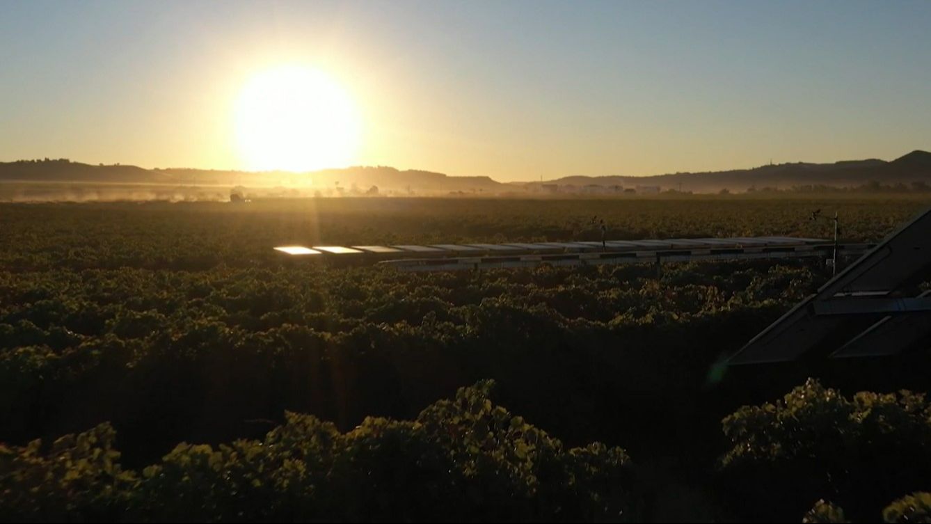 España defiende las renovables tras el apagón: el sol y el viento, claves para bajar el precio de la energía