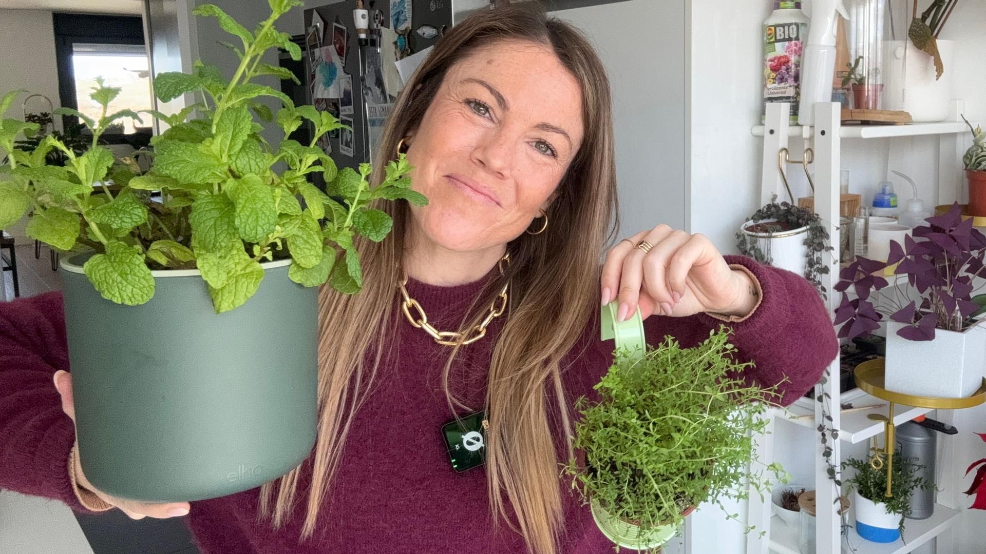 Las tres plantas aromáticas más fáciles de cultivar (o más difíciles de matar) en tu cocina