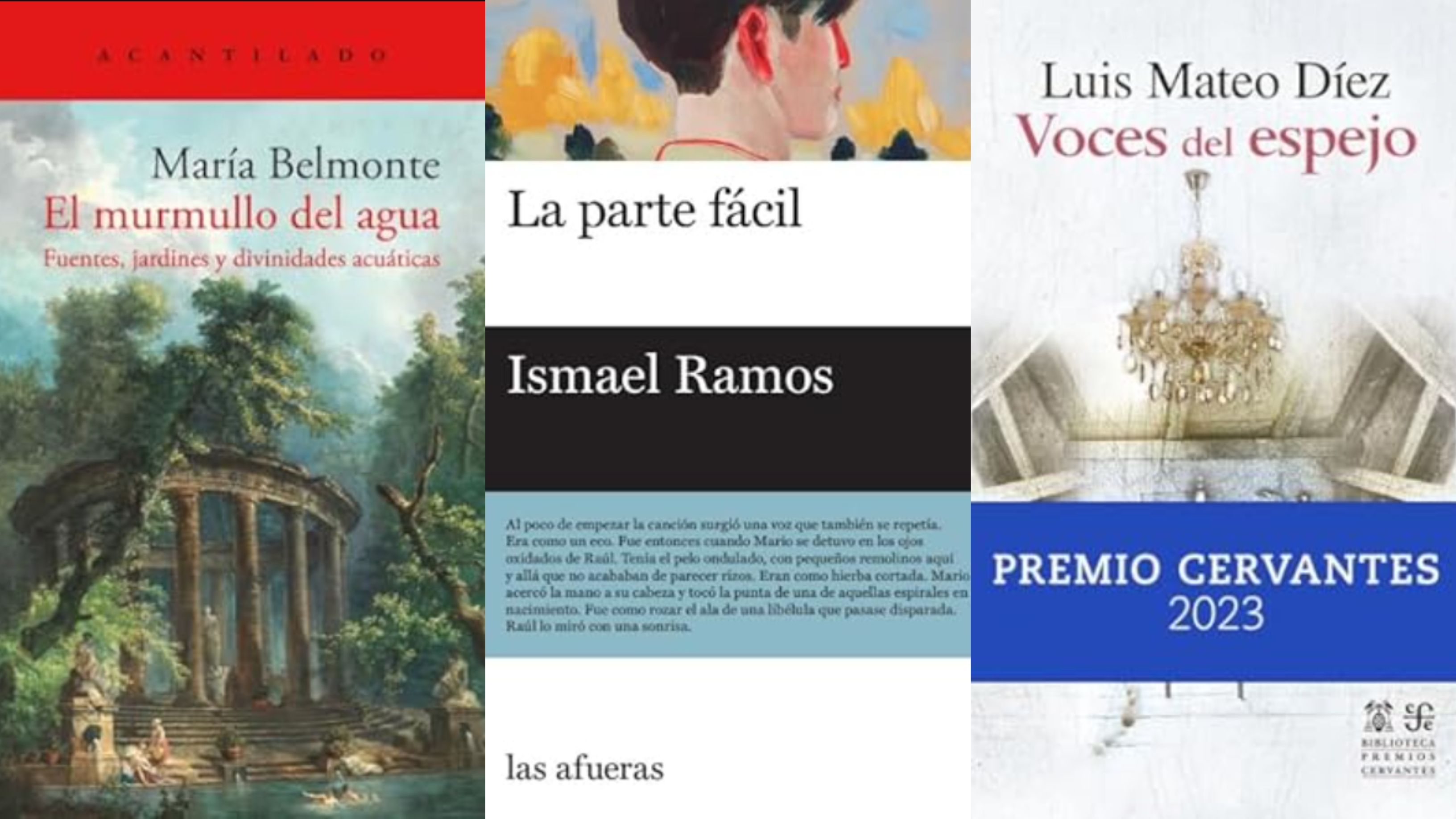 Algunos de los títulos de la estantería de Letizia 2, en un montaje de fotos