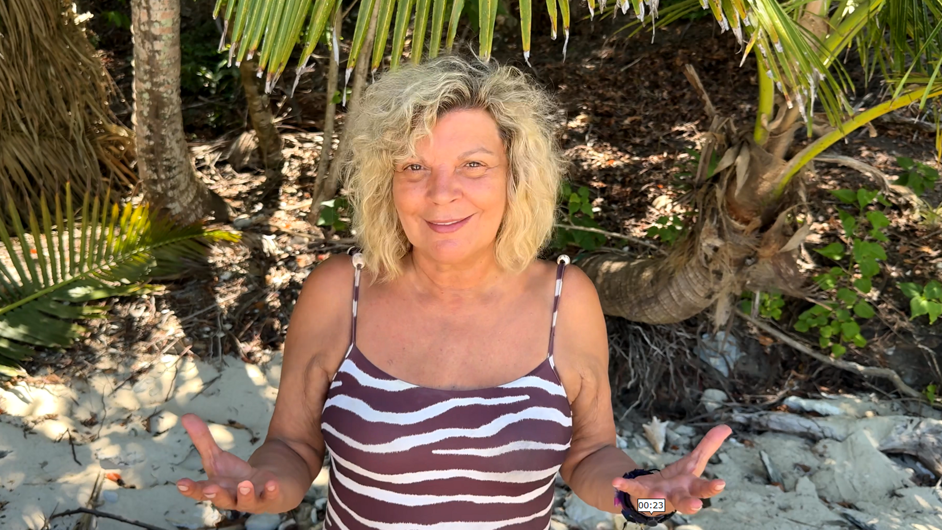 Captura de pantalla 2025 05 29 174239