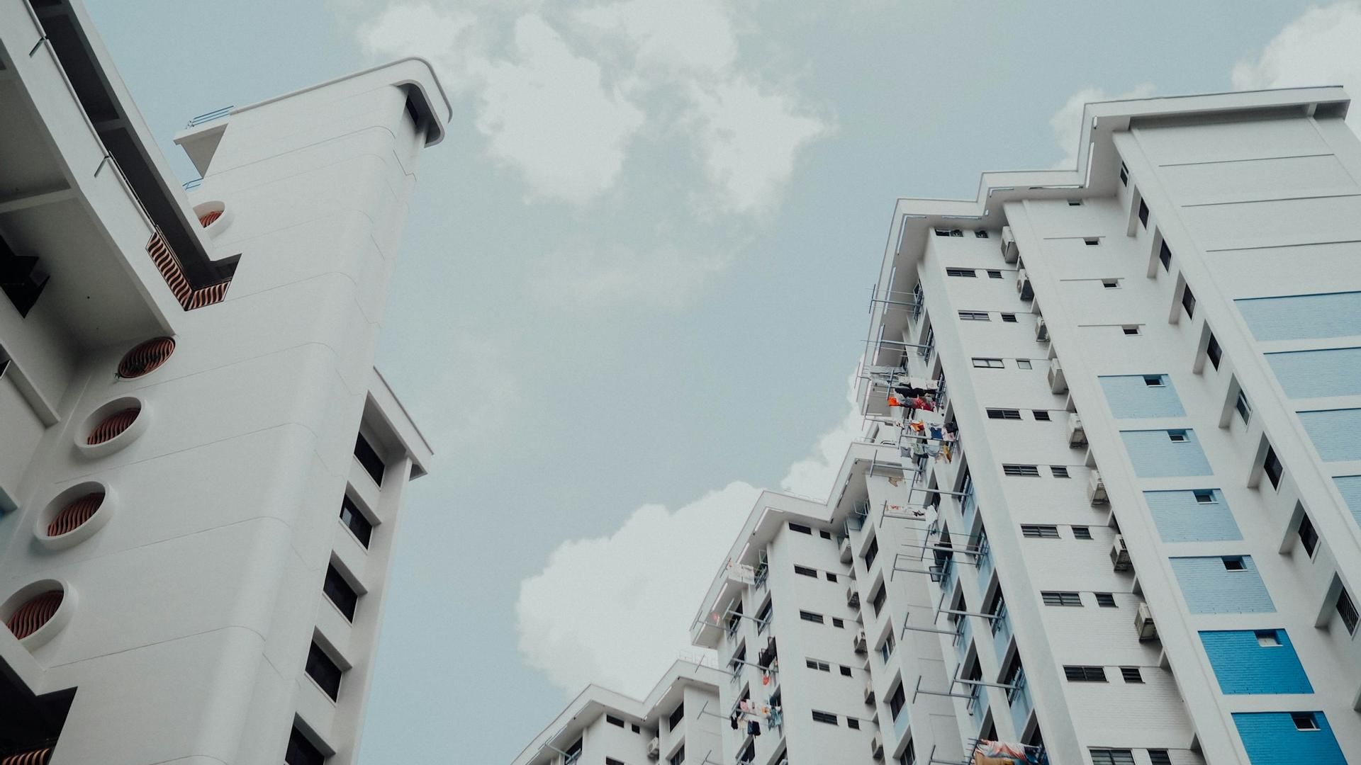 Vivienda nueva para compra o alquiler