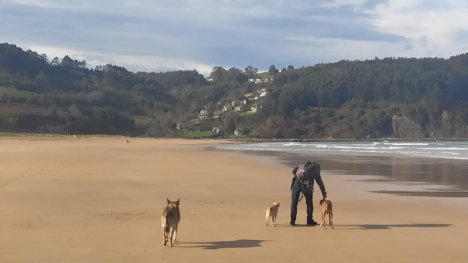 Detenida por ahogar a su perro en una playa de Alicante: sacó al animal del agua arrastrándole de la correa